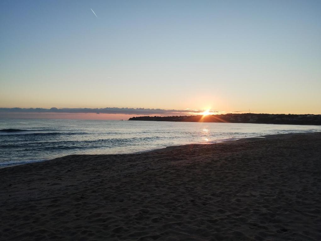Naturlandskabet i nærheden af lejligheden