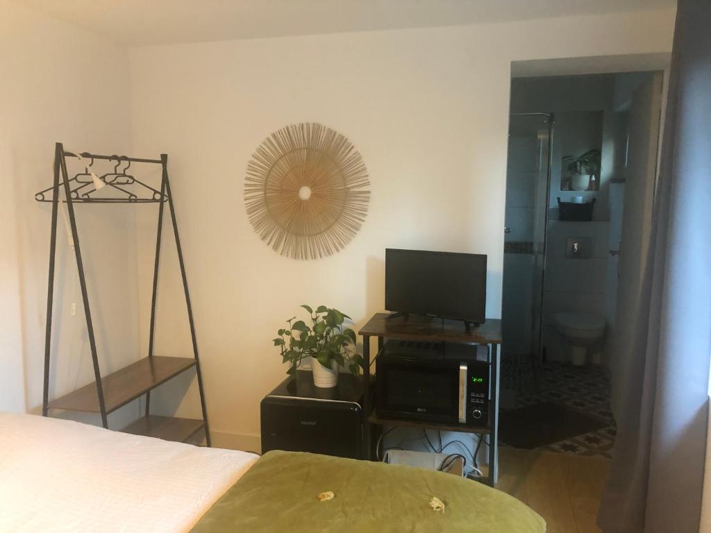 een slaapkamer met een bed, een tv en een spiegel bij Jolie chartreuse in Toulouse