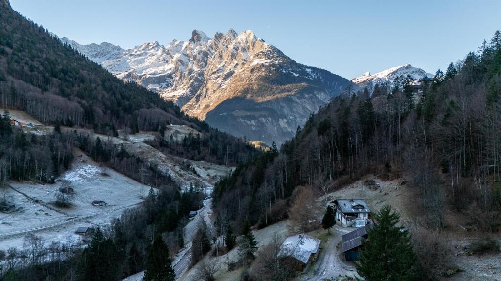 Příroda nedaleko apartmánu