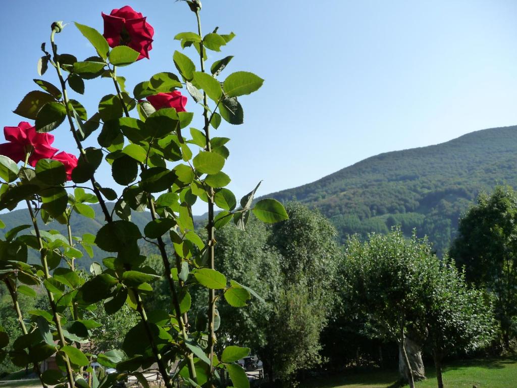 reservar hotel en Ezkurra