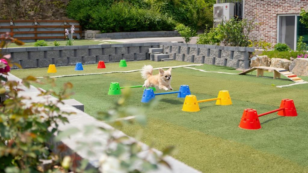 En have udenfor Gapyeong Manwol Aegyeon Pool Glamping