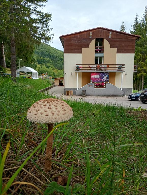 Bygningen som hotellet ligger i