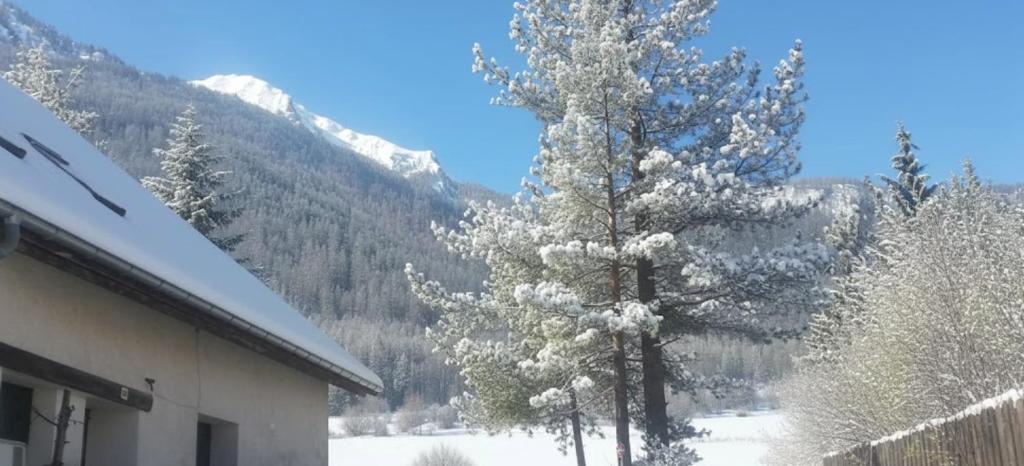 un árbol cubierto de nieve junto a una casa en Nice studio in the heart of Le Monêtier-les-Bains, en Le Monêtier-les-Bains