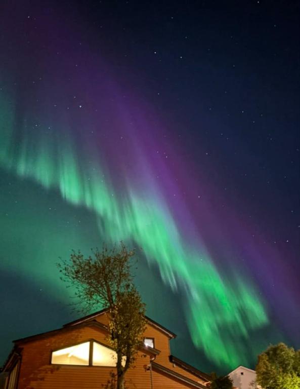an aurora in the sky over a house at Hogne's house in Tromsø