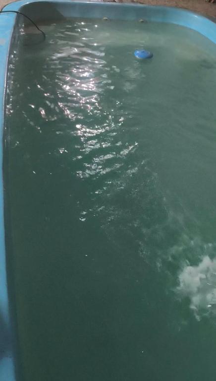 Billede fra billedgalleriet på Extremoz são Miguel arcanjo i Extremóz