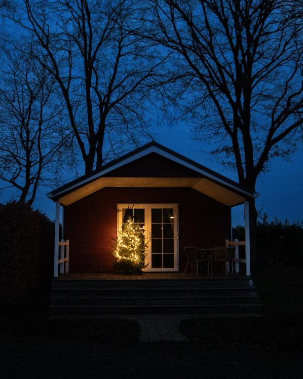 SchimmertCamping Mareveld的一栋小房子,窗户里摆着一棵圣诞树。
