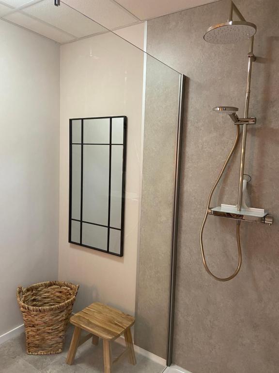 ein Bad mit einer Dusche, einer Bank und einem Stuhl in der Unterkunft Lagerhaus Gabriel-Oasen in der Stadt in Zweibrücken