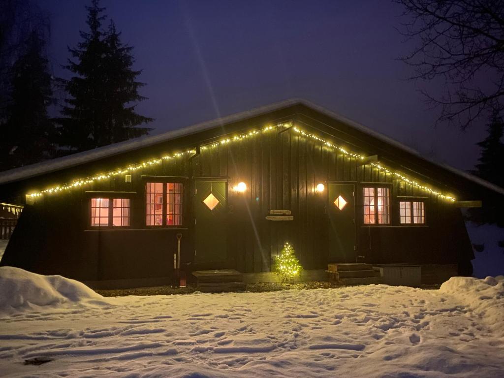 Newly renovated cabin near Ål city center, mountains & ski resort v zimě