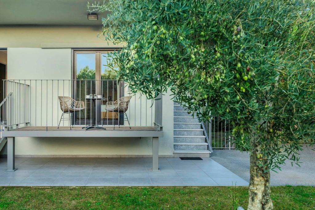 Elies 33 Bio Retreat - 16