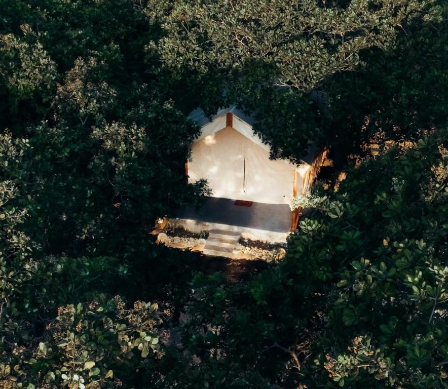 an aerial view of a house in the middle of trees at Pemimpi Sumba in Lambatama