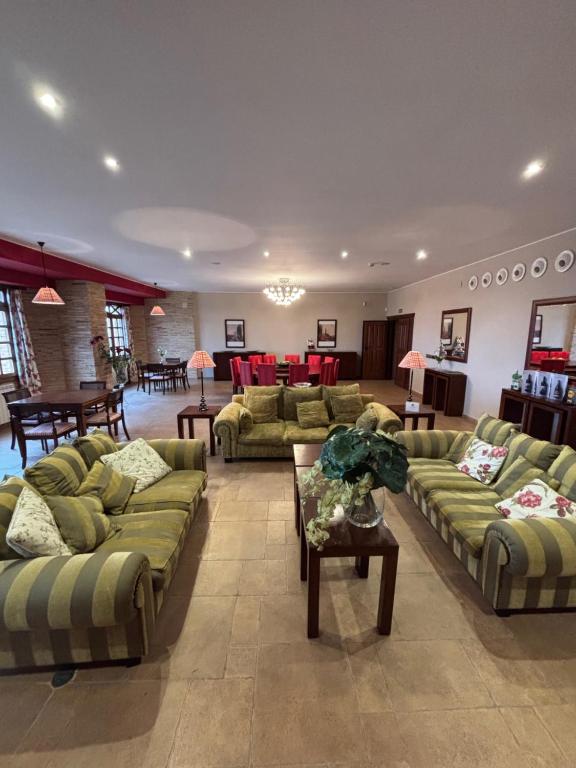 ein großes Wohnzimmer mit Sofas und einem Tisch in der Unterkunft Tierra de Cubas in Cariñena