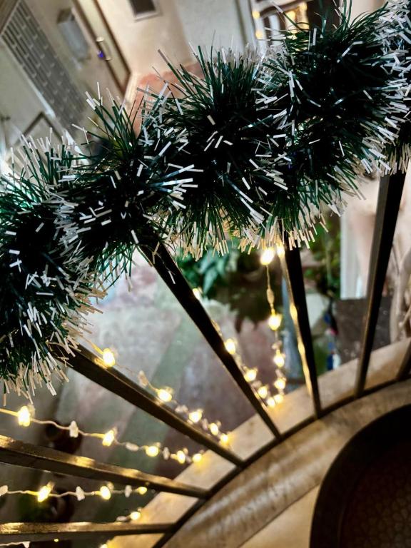 D'Aragona Guest House - 4