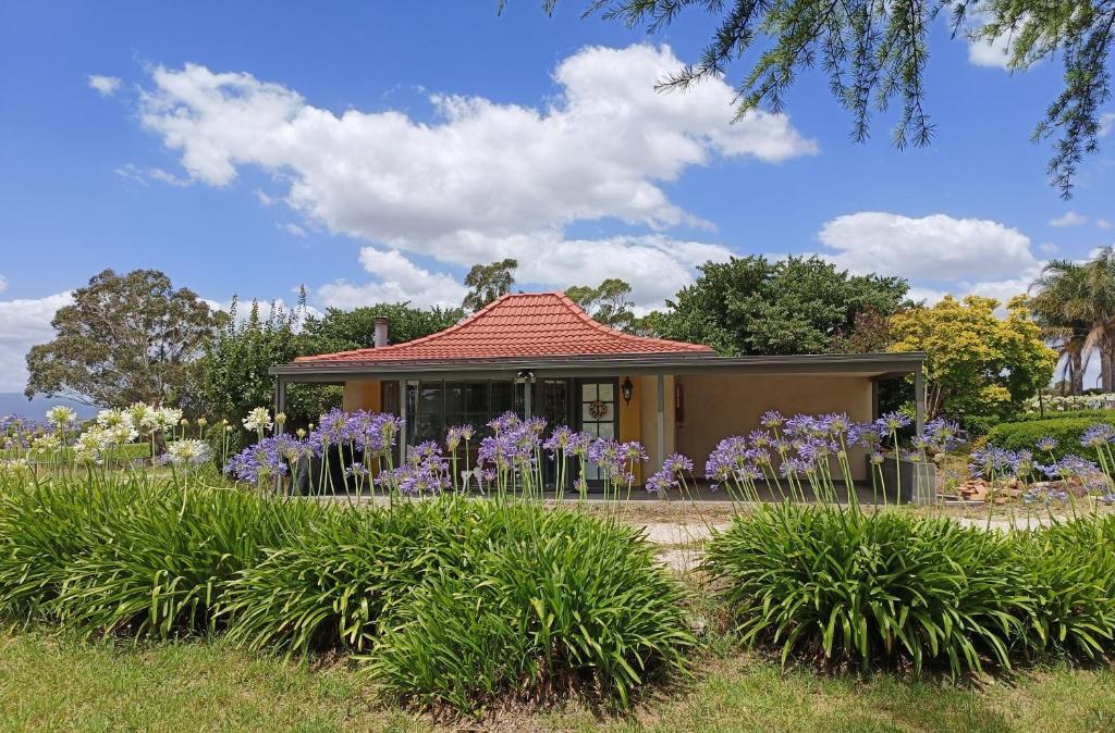 Vườn quanh Grandvista Cottage