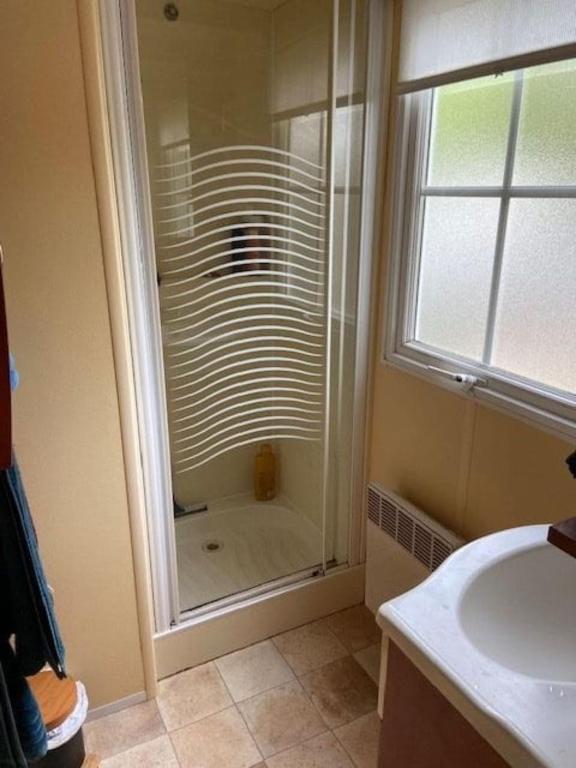 een badkamer met een douche en een wastafel bij Mobil Home sans vis a vis in Saint-Georges-de-Didonne