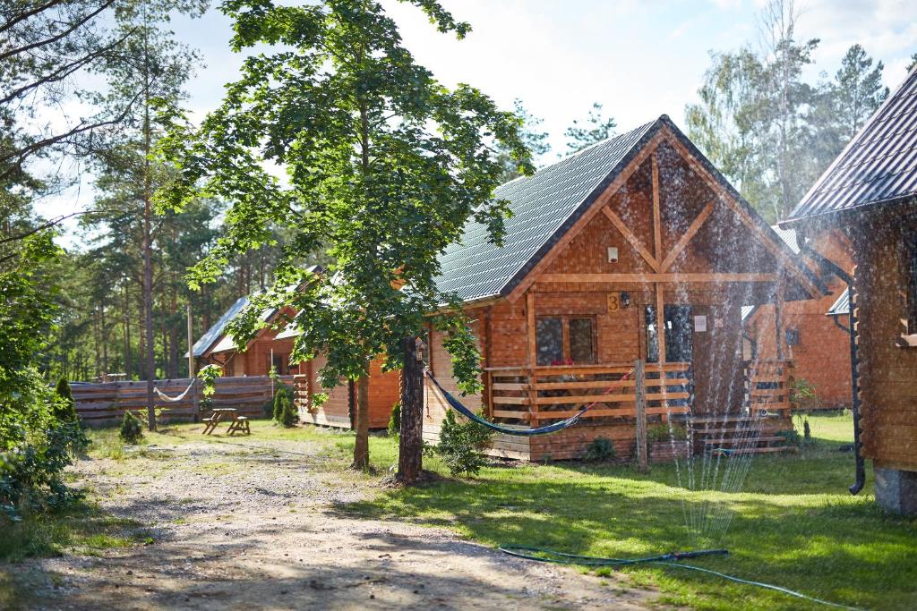 une cabane en rondins avec un hamac en face de celle-ci dans l'établissement Lesne Runo Borsk, basen z podgrzewaną wodą, à Borsk