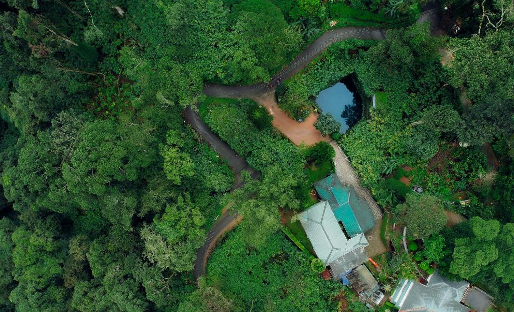 Příroda nedaleko hotelu