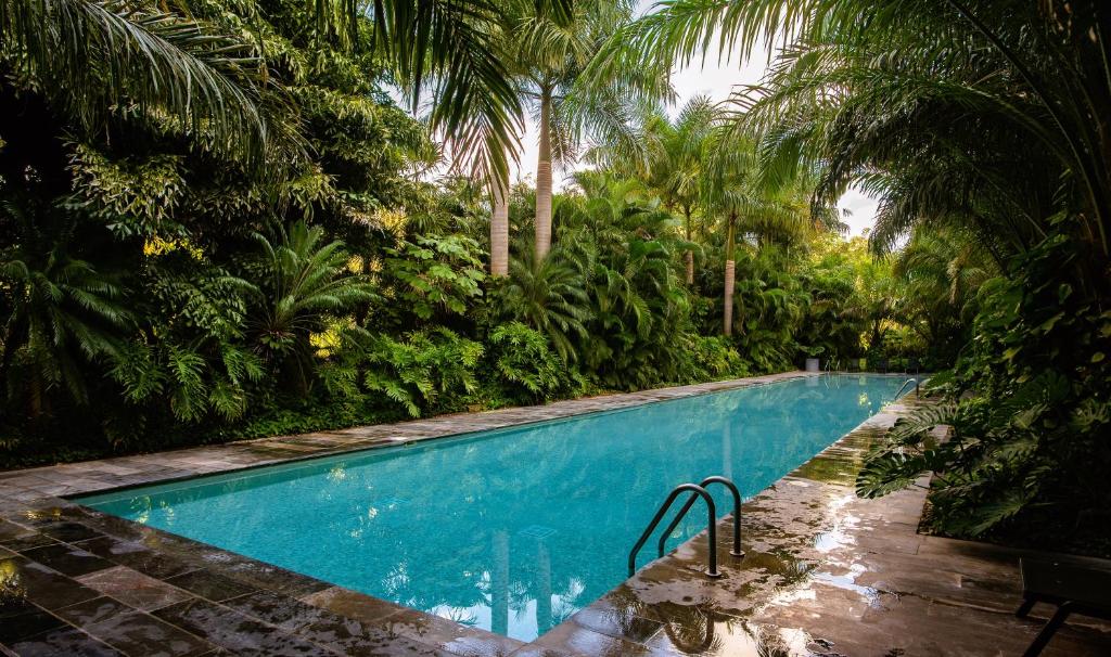 een zwembad in een jungle met palmbomen bij Cozy, elegant 2BR steps to US Consulate in Xcumpich