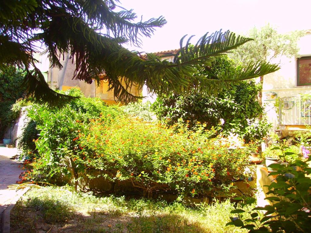 Zahrada ubytování L'Antica Cantina