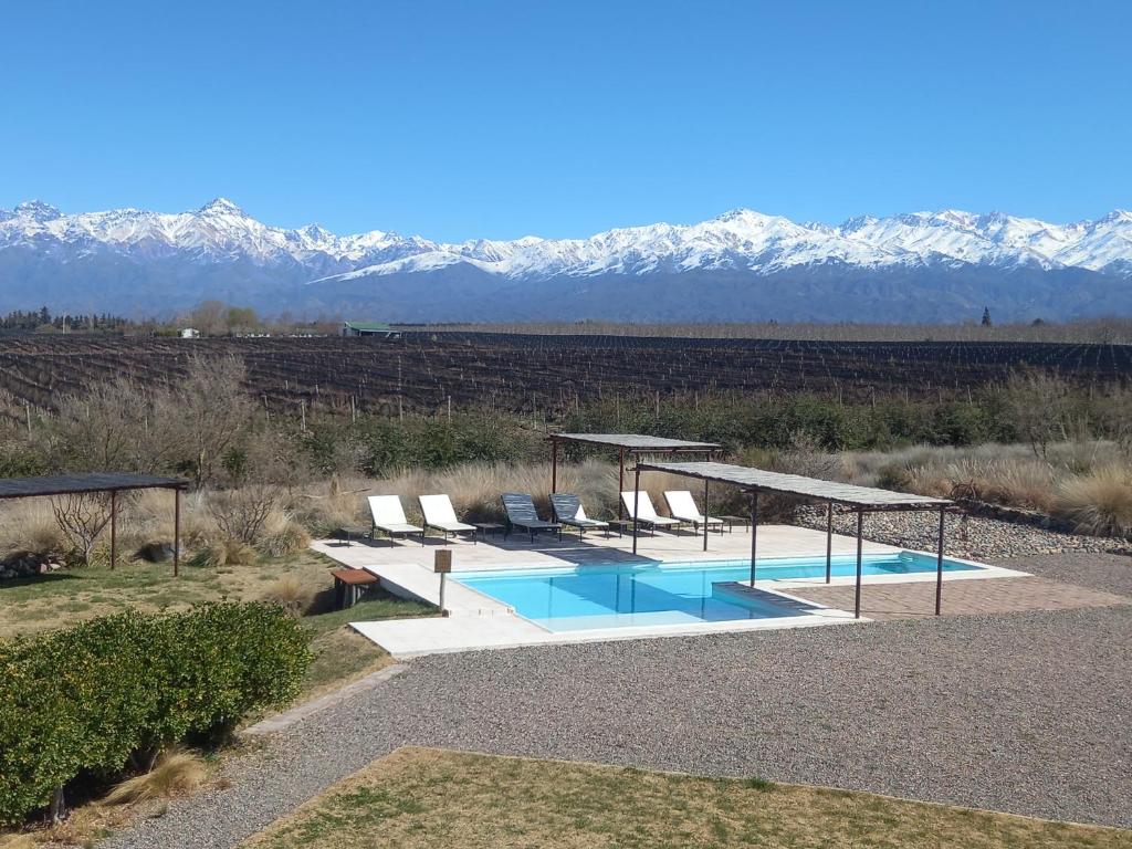 a swimming pool with chairs and mountains in the background at Tupungato Divino in Tupungato
