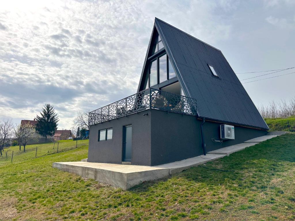 een huis met een zwart dak op een grasveld bij Wine Valley Villas in Lipovac