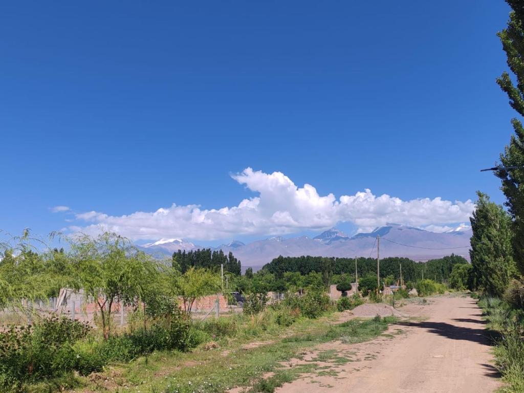 Naturlandskabet i nærheden af feriehuset