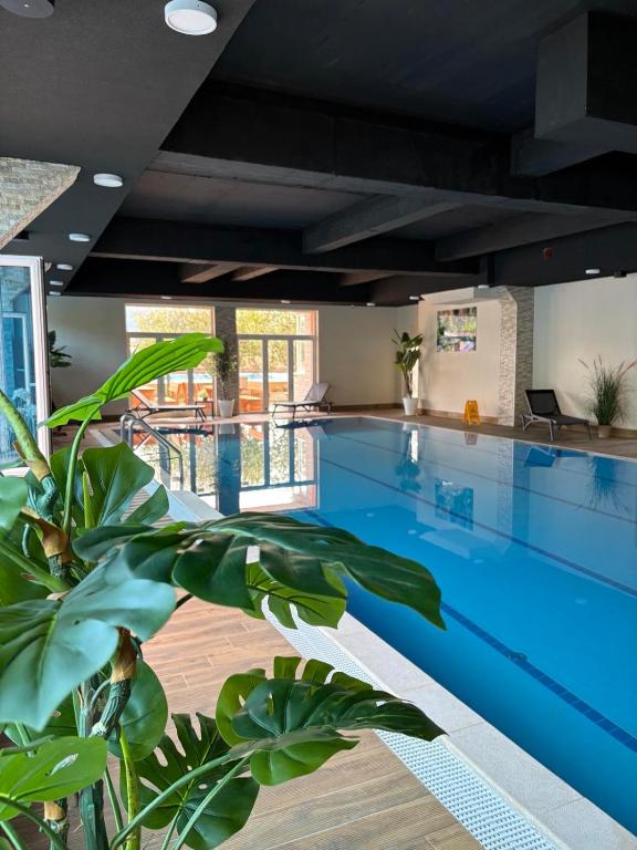 a large swimming pool in a building with plants at Hotel Ada Blagaj in Blagaj