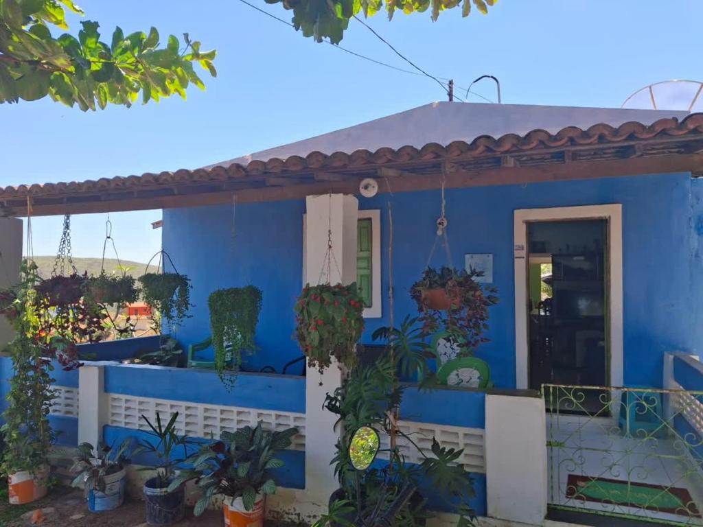 ein blaues Haus mit Pflanzen davor in der Unterkunft Pousada Tereza in Piranhas