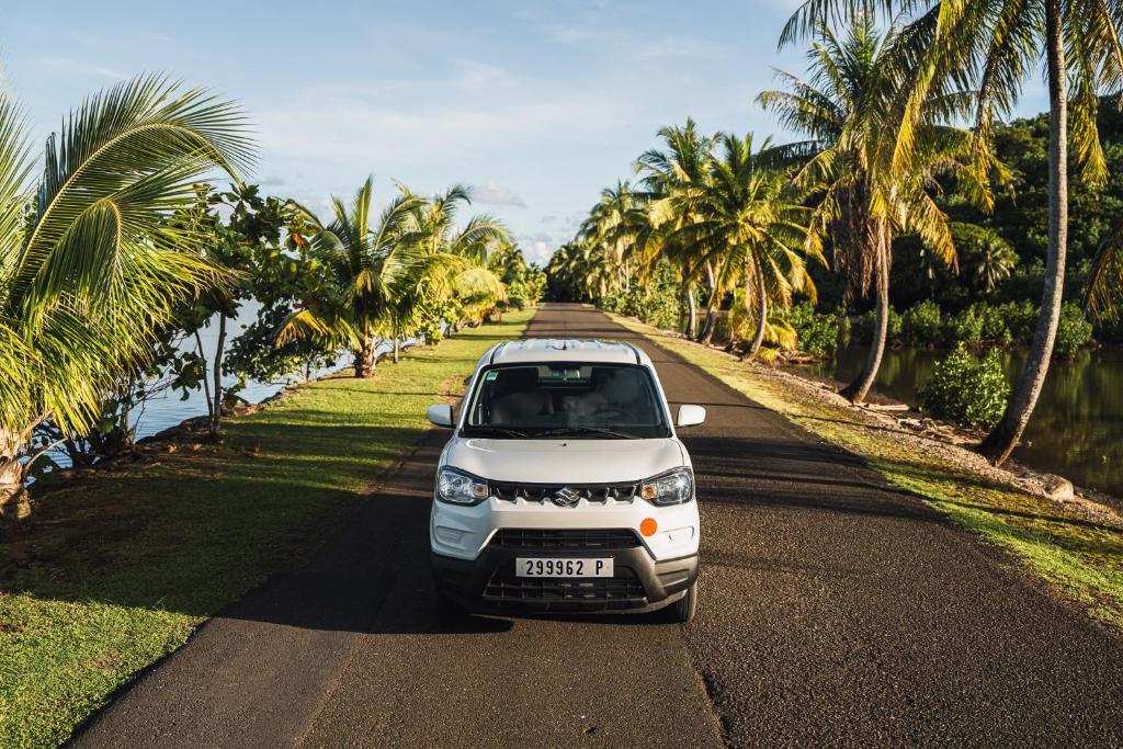 Příroda nedaleko kempu