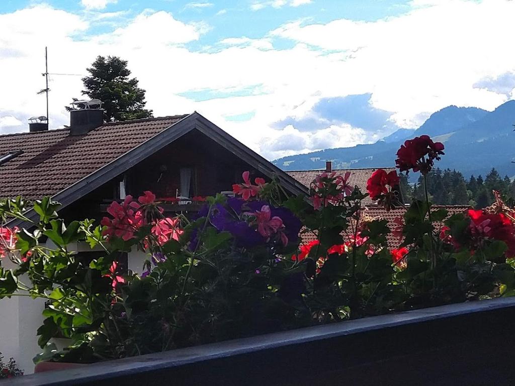 En generel udsigt til bjerge eller udsigt til bjerge taget fra lejligheden