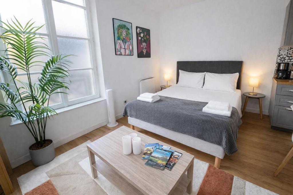 ein Schlafzimmer mit einem Bett und einer Topfpflanze in der Unterkunft Le Lagon / 100m Gare in Tours