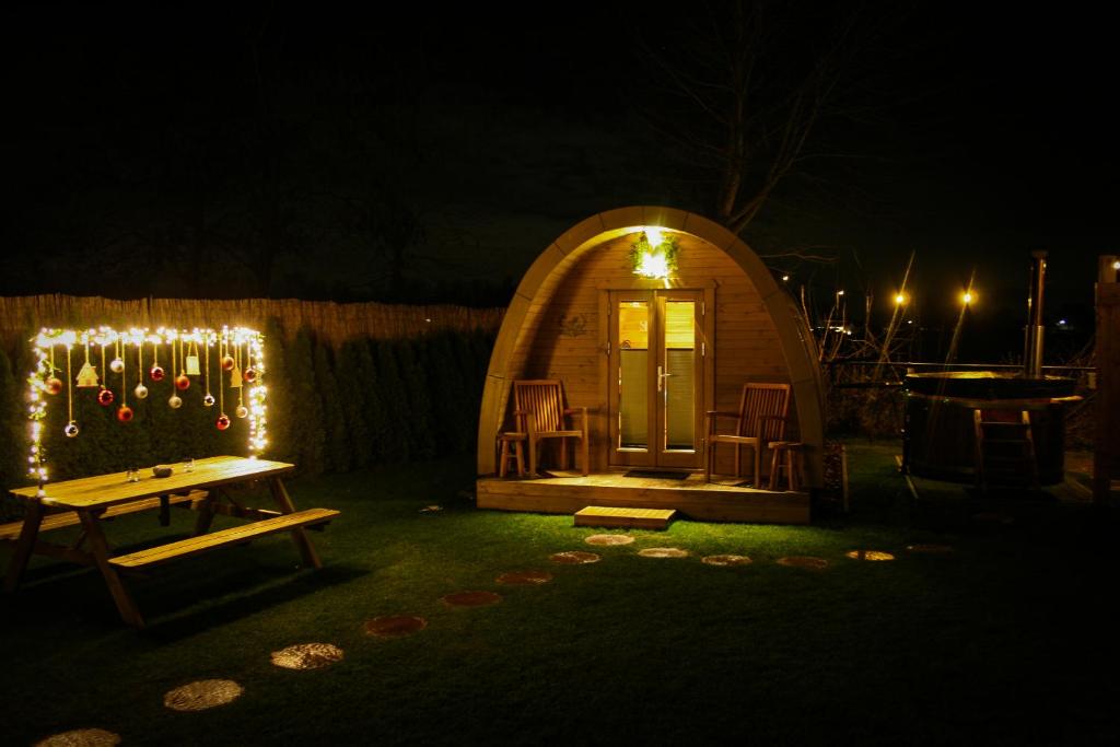 een klein iguana-huisje met lichtjes in het donker bij Cosy Cabin Overloon in Overloon