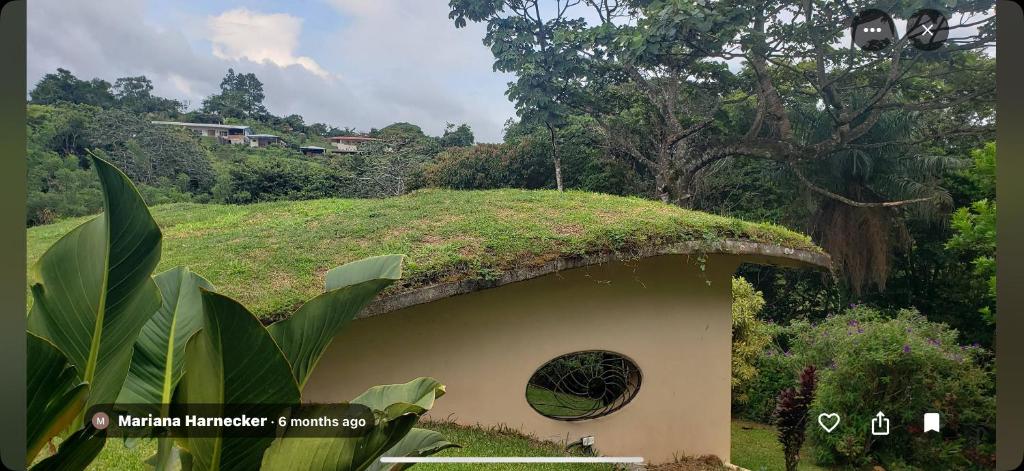 een met mos bedekt gebouw met een grasheuvel bij LaCusuca in Guadalajara