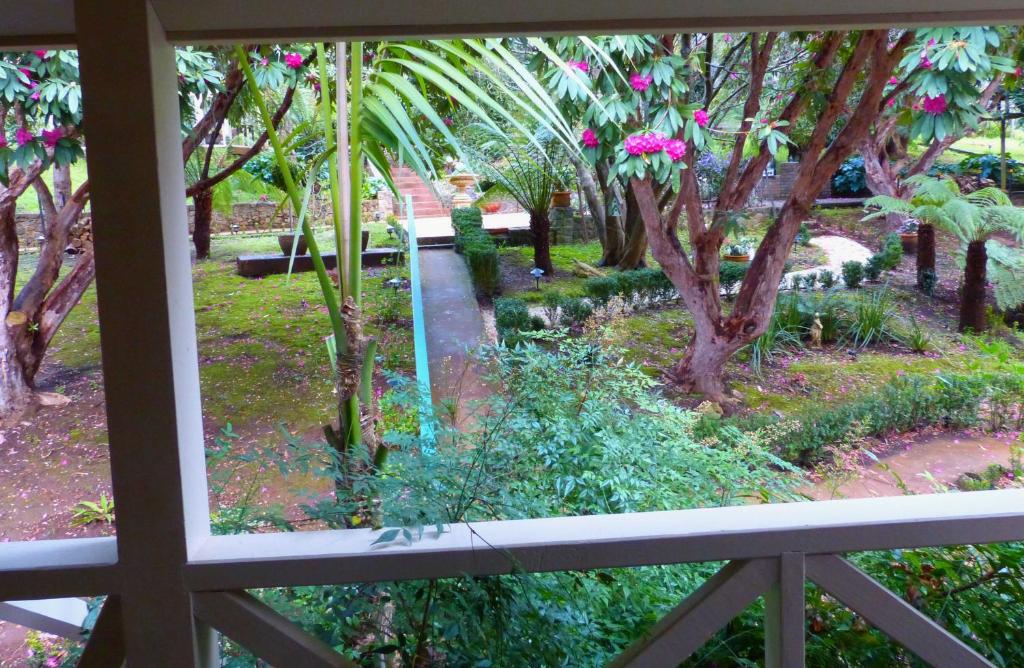 Aquila Nova Resort - Deluxe King Studio