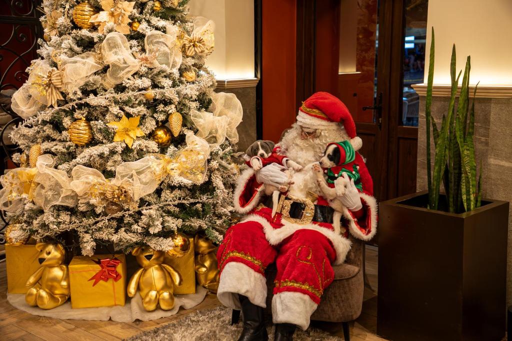 a santa claus sitting in front of a christmas tree at voco Royalty Puebla Downtown by IHG in Puebla