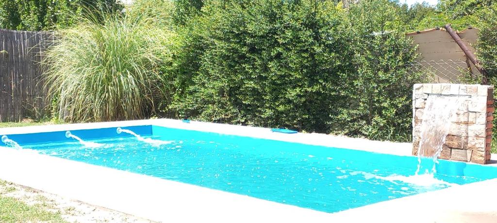 two swans swimming in a pool with a fountain at Cortaderas de La Villa-San Rafael in San Rafael