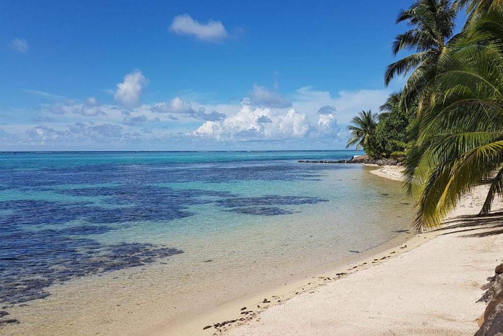 Villa Iris - photo 3 - Moorea, Polynésie
