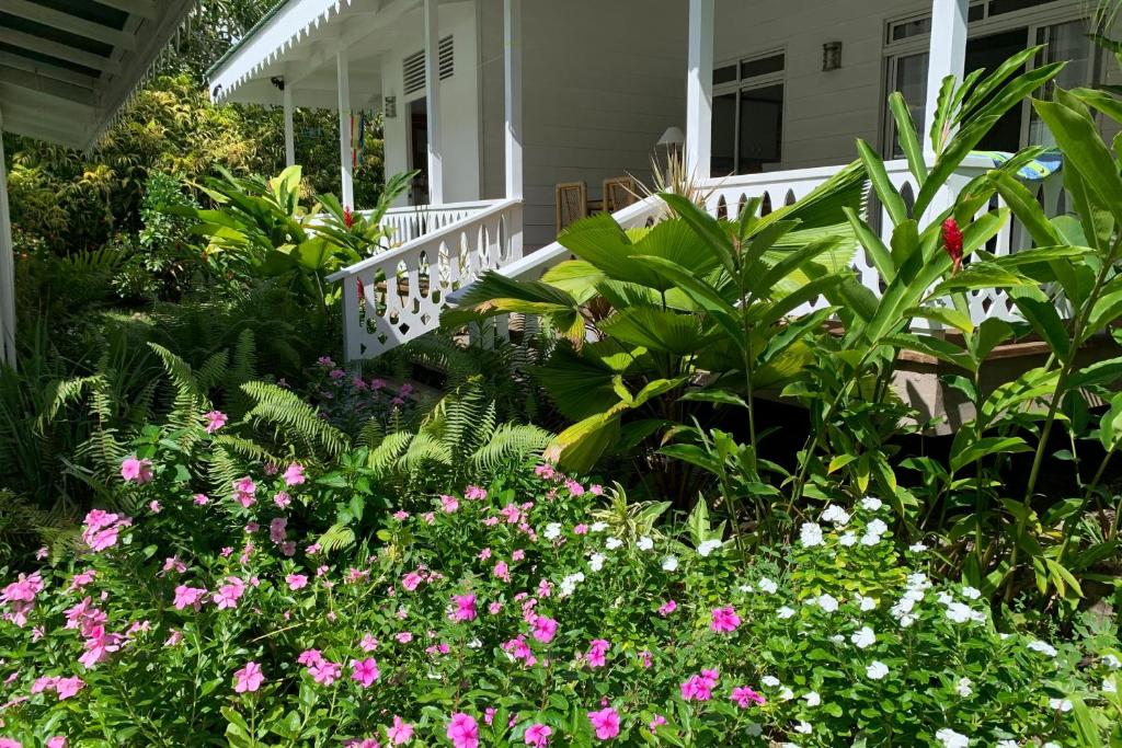 Villa Iris - photo 9 - Moorea, Polynésie