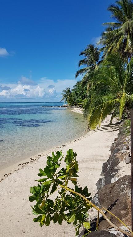 Villa Iris - photo 12 - Moorea, Polynésie
