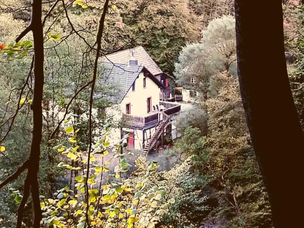 Příroda nedaleko prázdninového domu