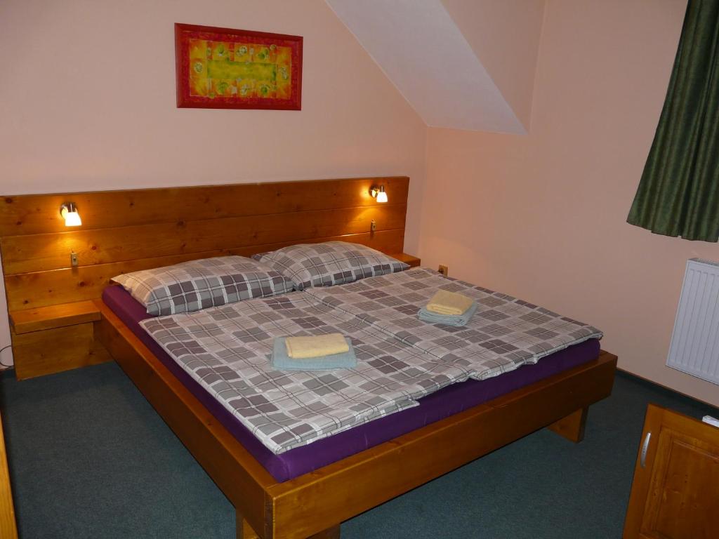 Wellness Penzion Palice - 3