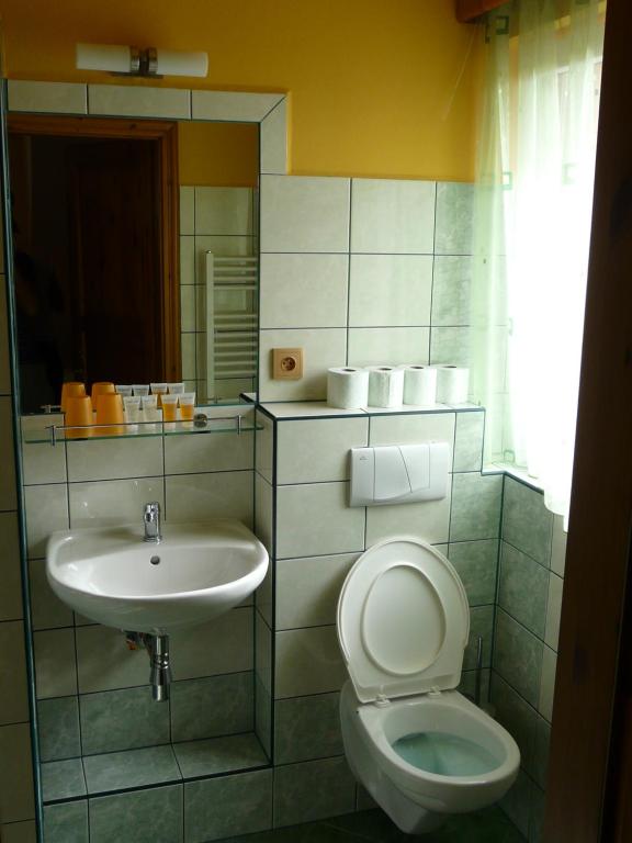 Wellness Penzion Palice - 6