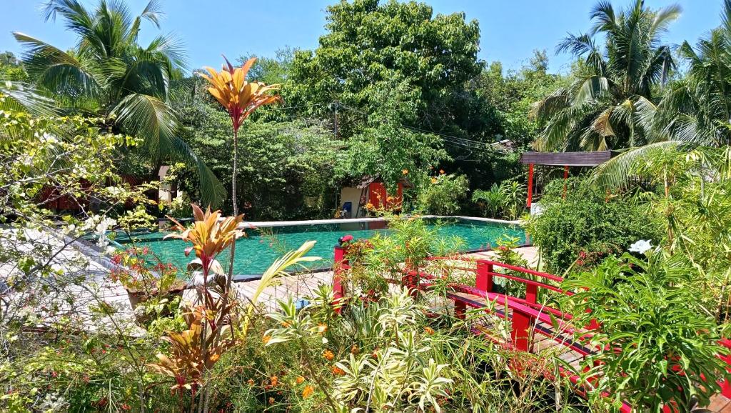 a swimming pool in the middle of a garden at Molmol Cafe in Larena