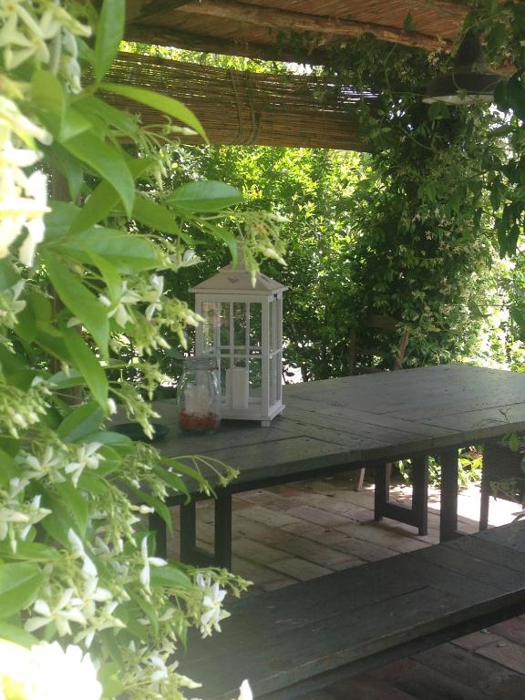 Zahrada ubytování Le Palazze B&b