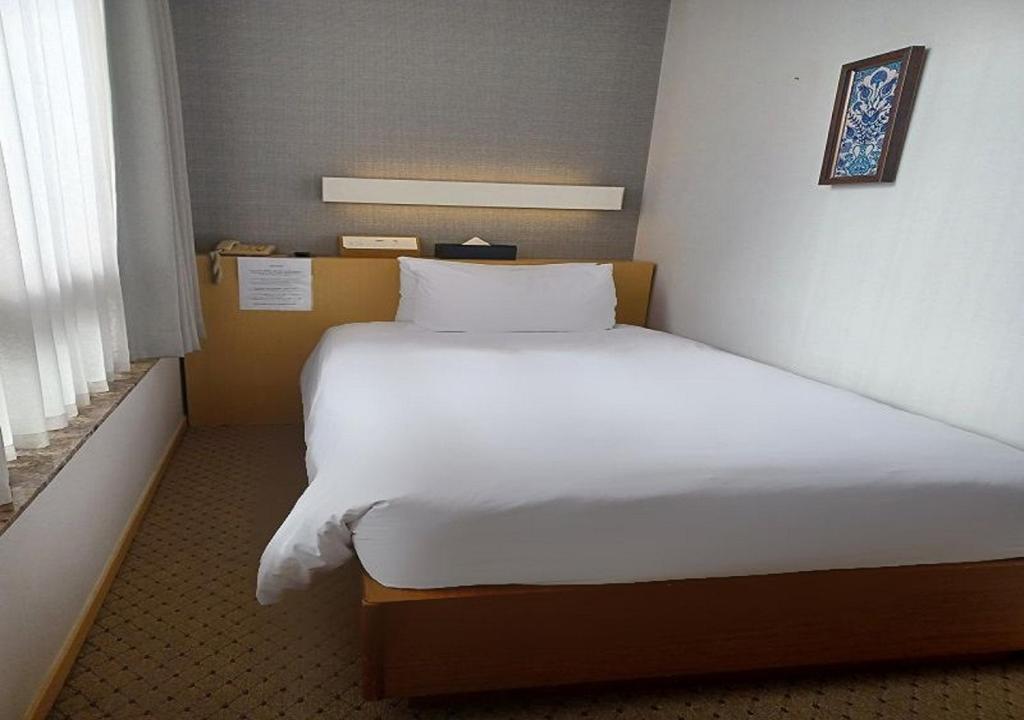 Migliore Hotel Seoul Myeongdong - 
