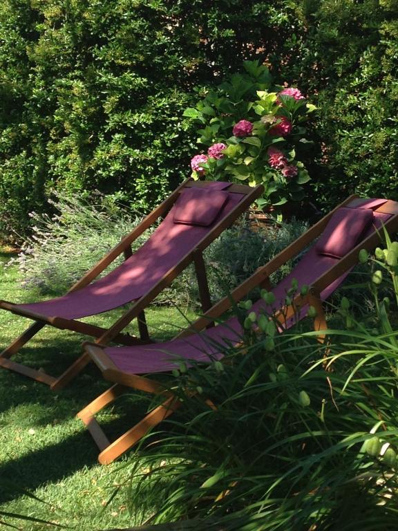 Zahrada ubytování Le Palazze B&b