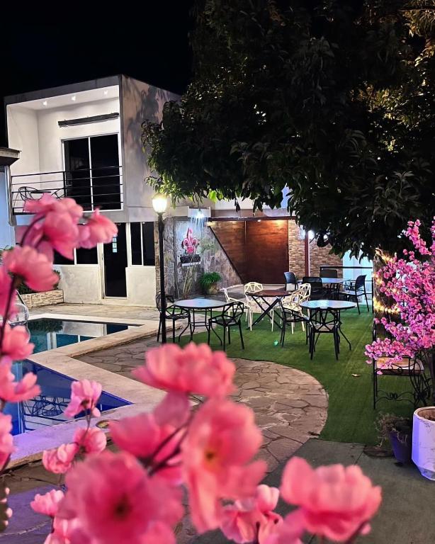 Vrt ispred objekta VILLA NAPOLI