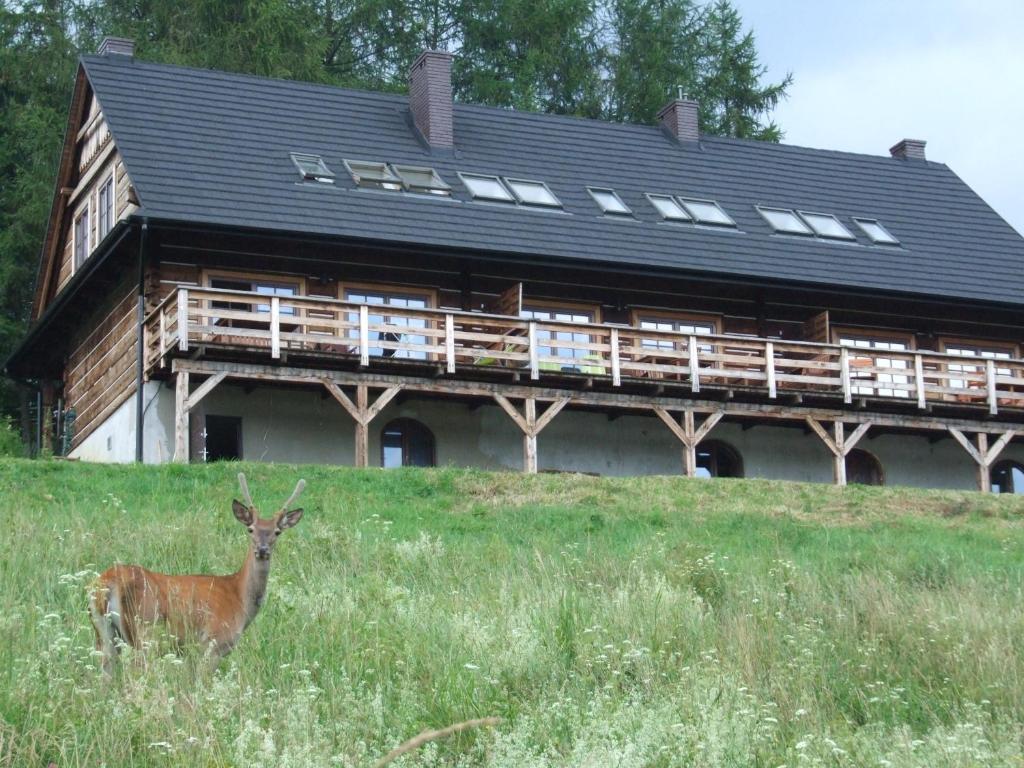 Fotografia z galérie ubytovania Cudne Manowce v destinácii Wetlina