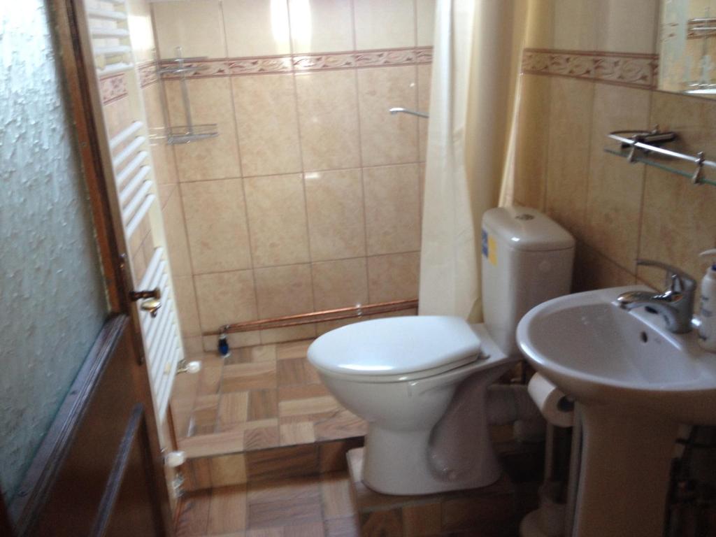 Koupelna v ubytování Casa Darius