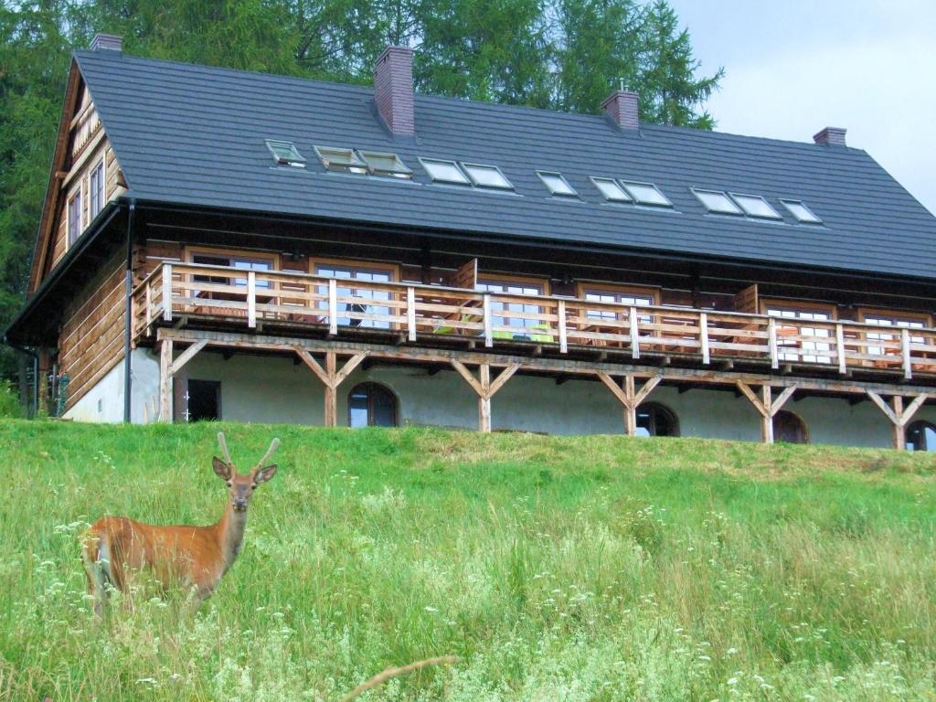 Budova, v ktorej sa apartmán nachádza