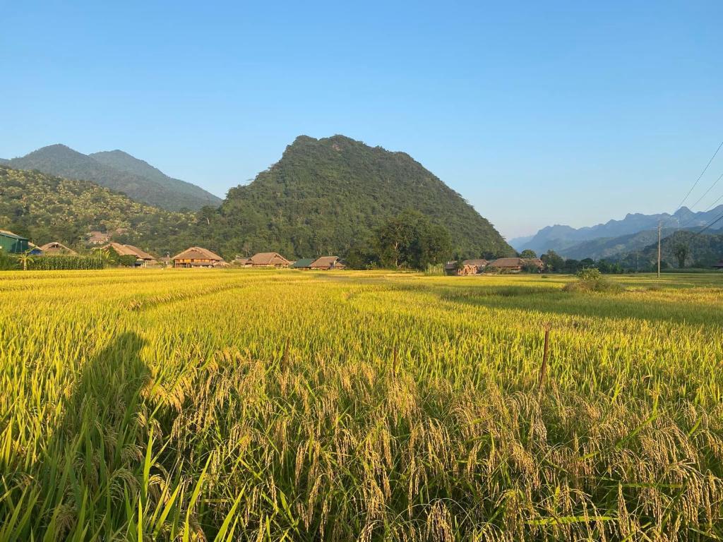 Příroda nedaleko ubytování v soukromí